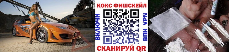 Cocaine FishScale  Купить закладки  Барнаул 