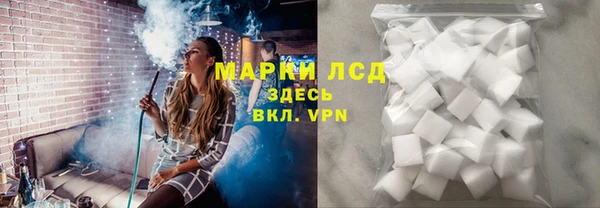 амф Снежногорск