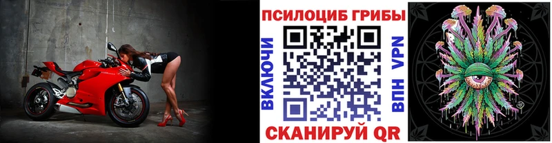 Псилоцибиновые грибы Magic Shrooms  Купить закладки  Барнаул 